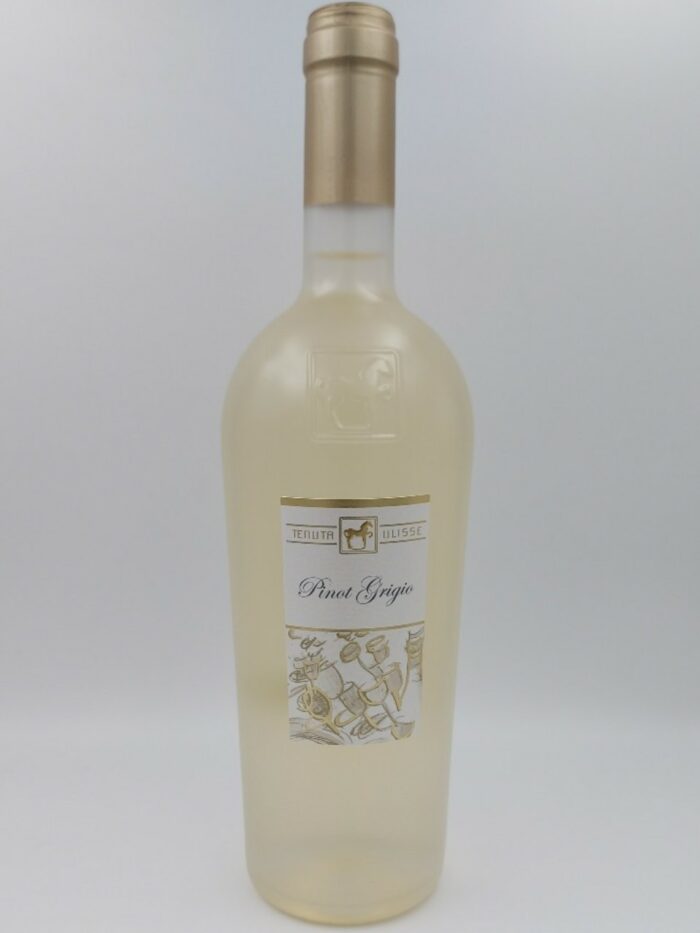 Tenuta Ulisse Pinot Grigio Terra di Chieti Italie